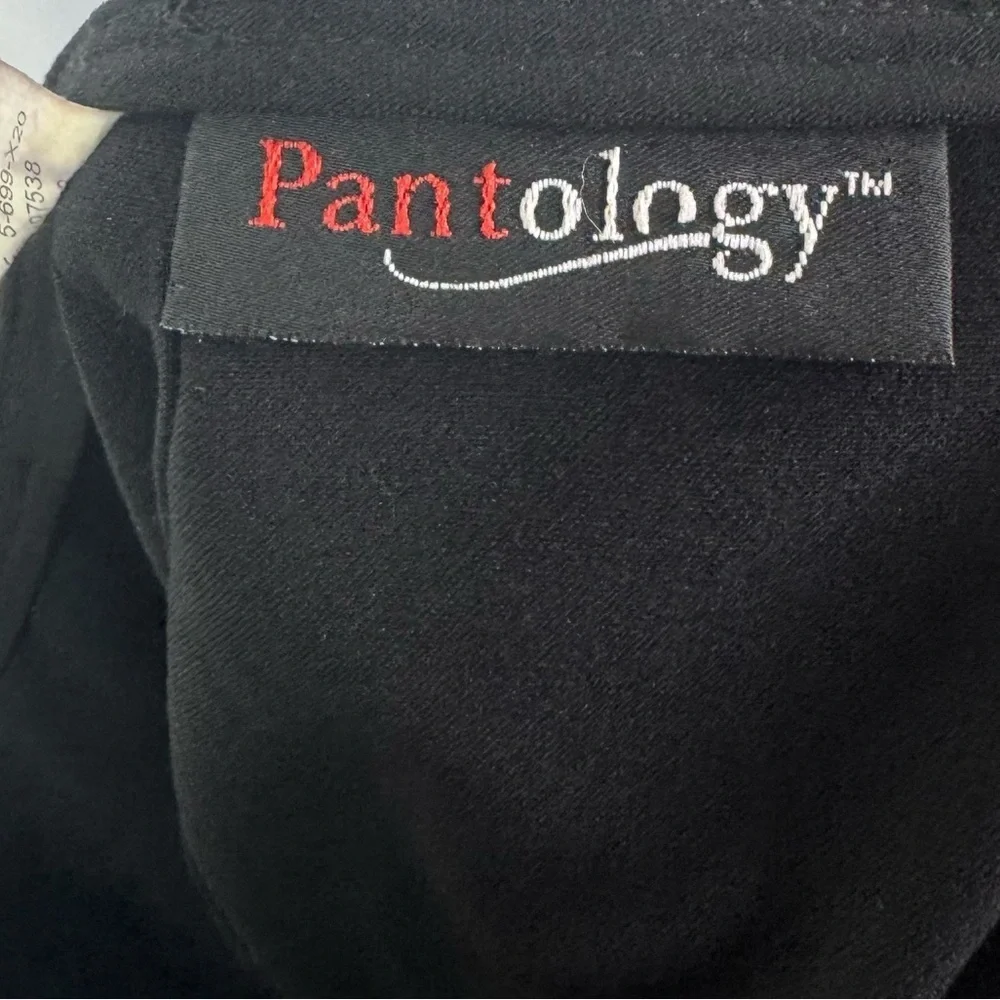 Vintage y2k pantology